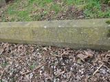 image of grave number 624850